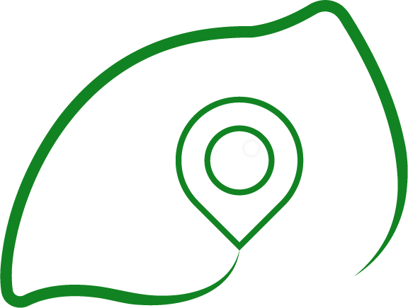 Image représentant une tête de caméléon vert comme le logo de Cardeleon.